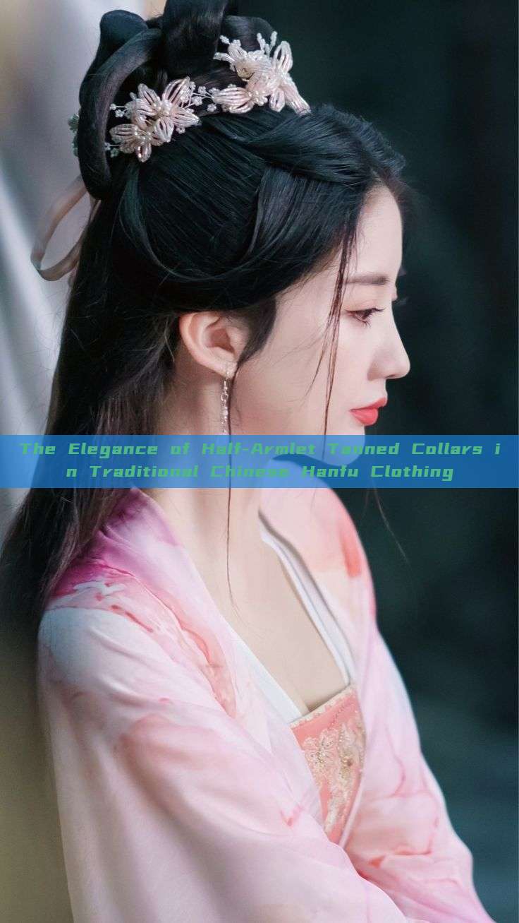 The Elegance of Half-Armlet Tanned Collars in Traditional Chinese Hanfu Clothing The Elegance of Half-Armlet Tanned Collars in Traditional Chinese Hanfu Clothing