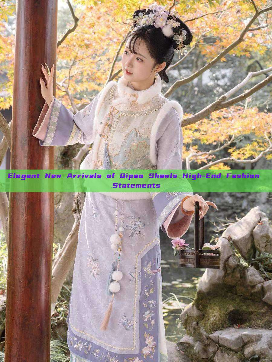 Elegant New Arrivals of Qipao Shawls High-End Fashion Statements Elegant New Arrivals of Qipao Shawls High-End Fashion Statements