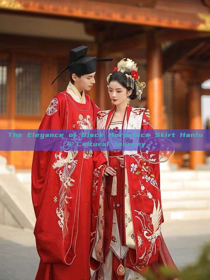 The Elegance of Black Horseface Skirt Hanfu:A Cultural Journey The Elegance of Black Horseface Skirt Hanfu:A Cultural Journey