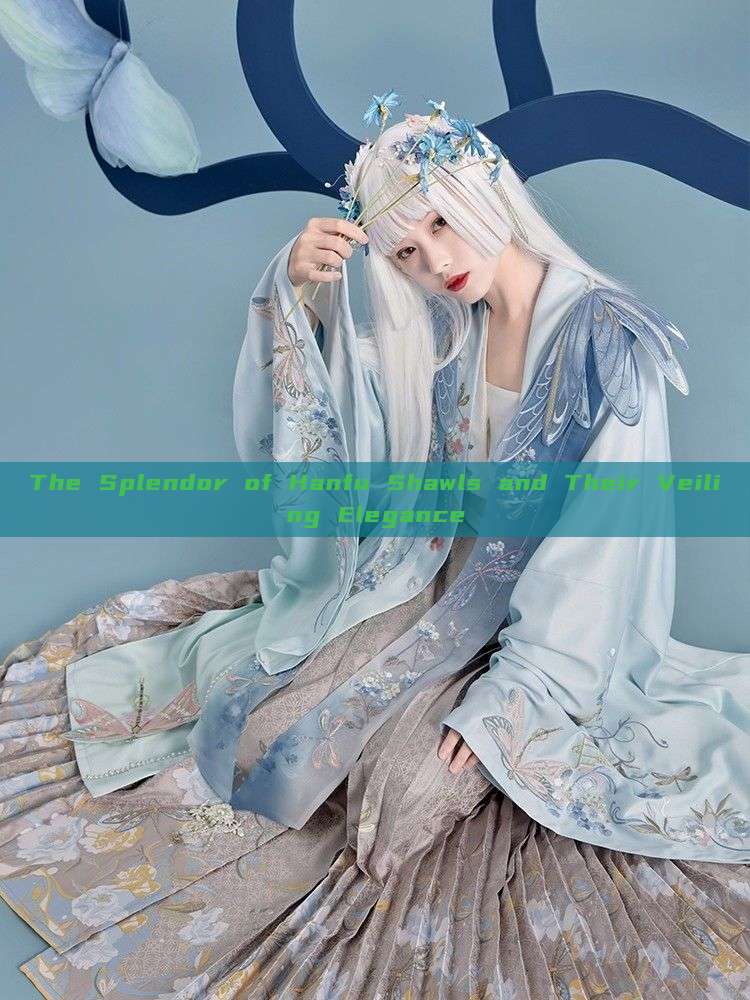 The Splendor of Hanfu Shawls and Their Veiling Elegance The Splendor of Hanfu Shawls and Their Veiling Elegance