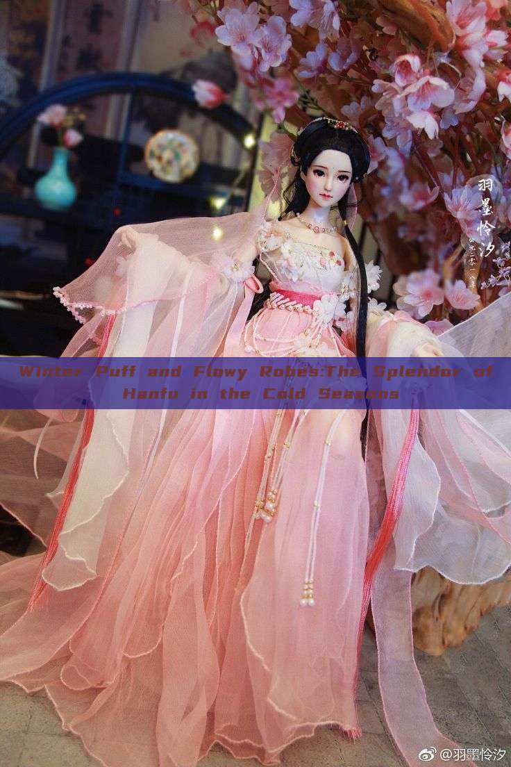 Winter Puff and Flowy Robes:The Splendor of Hanfu in the Cold Seasons Winter Puff and Flowy Robes:The Splendor of Hanfu in the Cold Seasons