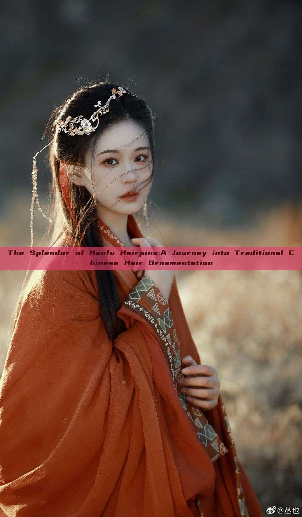 The Splendor of Hanfu Hairpins:A Journey into Traditional Chinese Hair Ornamentation The Splendor of Hanfu Hairpins:A Journey into Traditional Chinese Hair Ornamentation