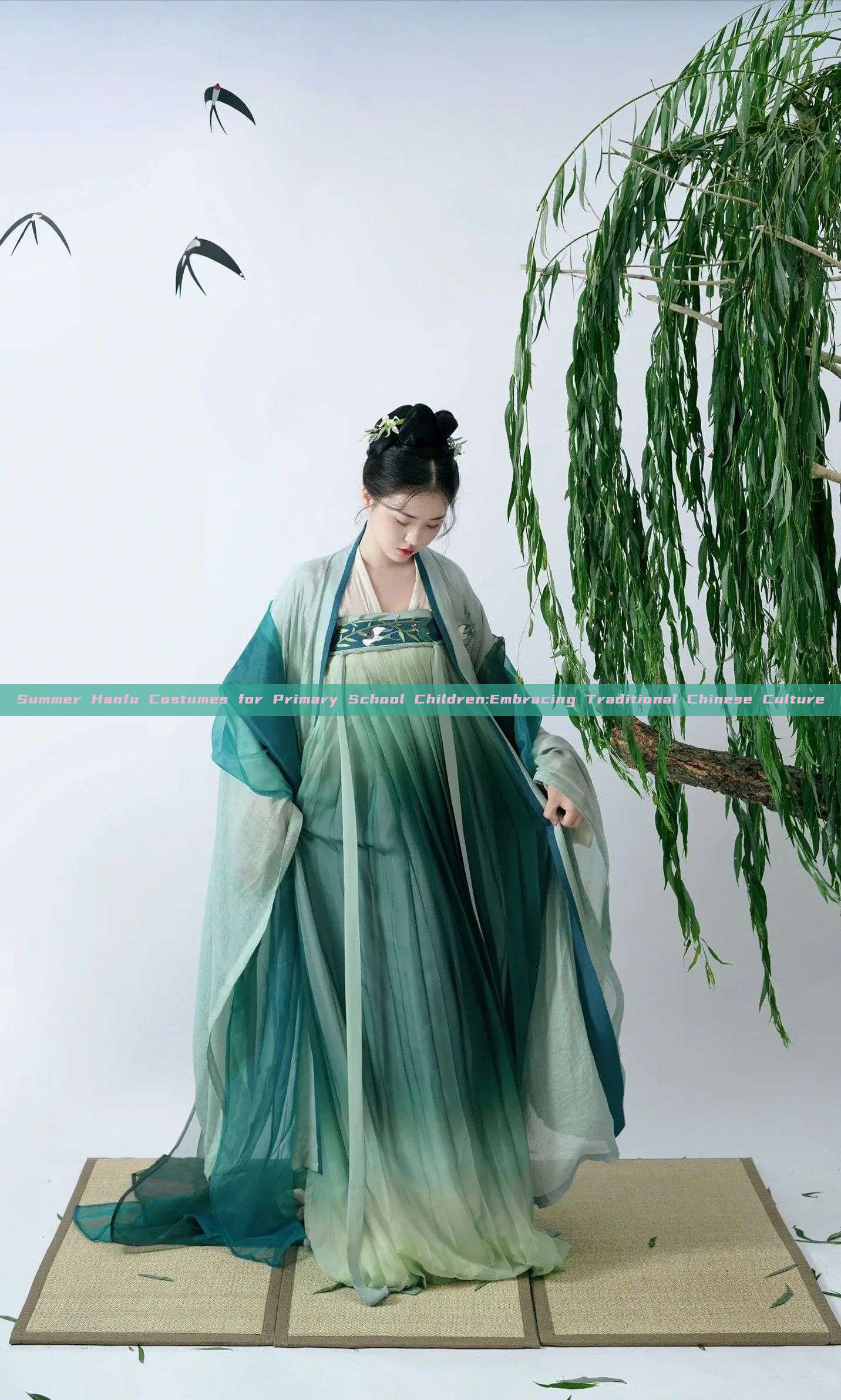 Summer Hanfu Costumes for Primary School Children:Embracing Traditional Chinese Culture Summer Hanfu Costumes for Primary School Children:Embracing Traditional Chinese Culture