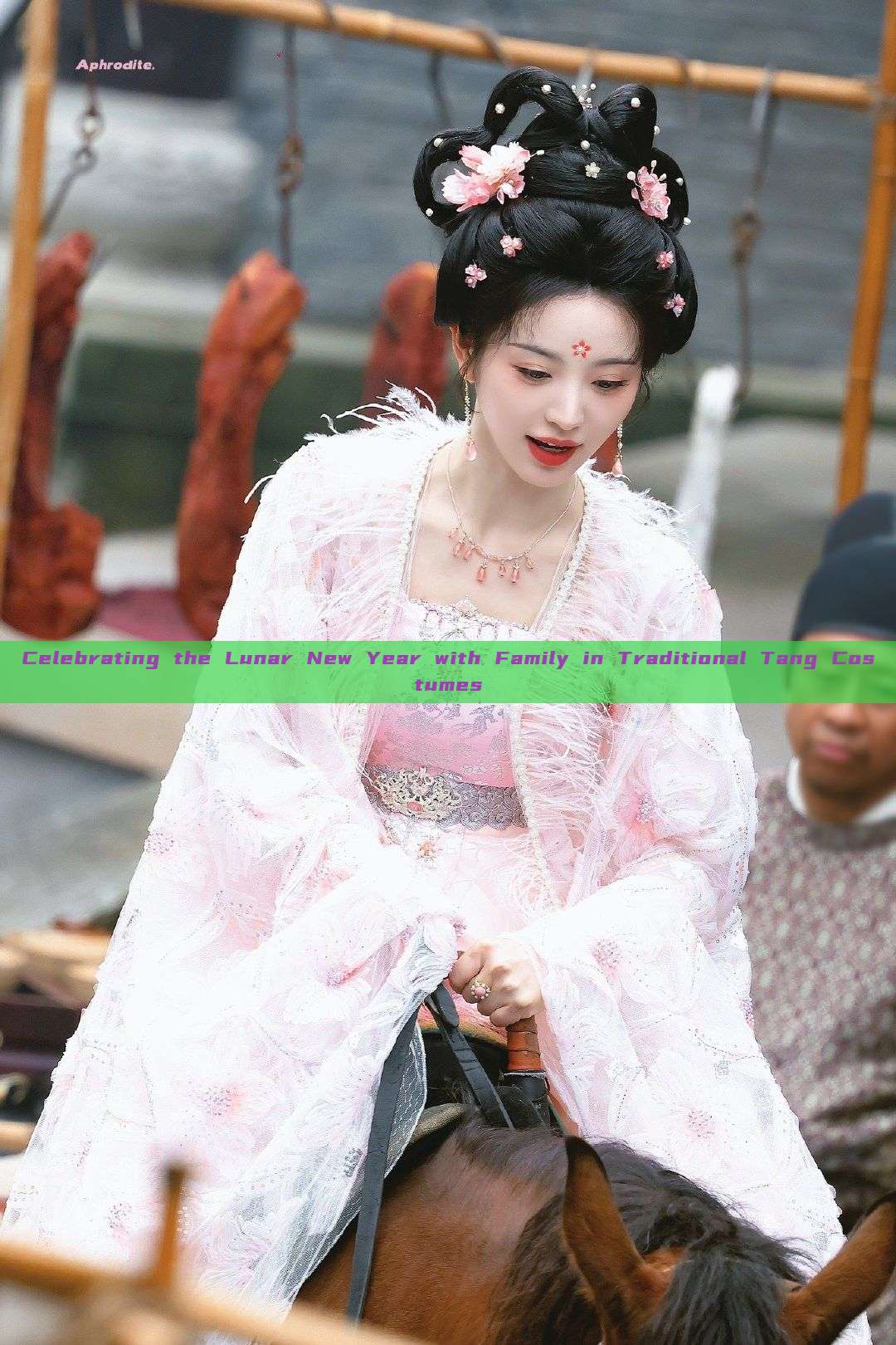Celebrating the Lunar New Year with Family in Traditional Tang Costumes