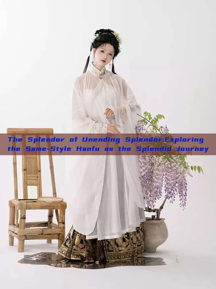 The Splendor of Unending Splendor:Exploring the Same-Style Hanfu as the Splendid Journey The Splendor of Unending Splendor:Exploring the Same-Style Hanfu as the Splendid Journey