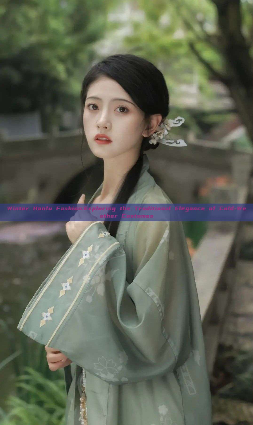 Winter Hanfu Fashion:Exploring the Traditional Elegance of Cold-Weather Costumes Winter Hanfu Fashion:Exploring the Traditional Elegance of Cold-Weather Costumes