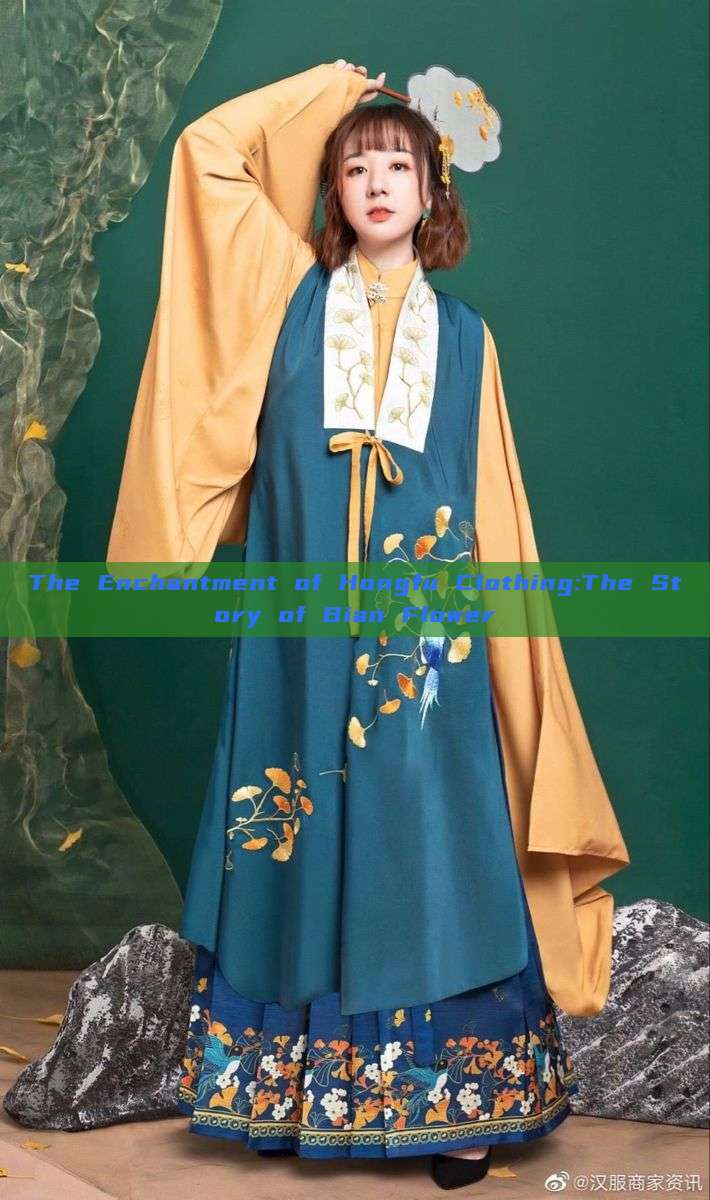 The Enchantment of Hongfu Clothing:The Story of Bian Flower The Enchantment of Hongfu Clothing:The Story of Bian Flower
