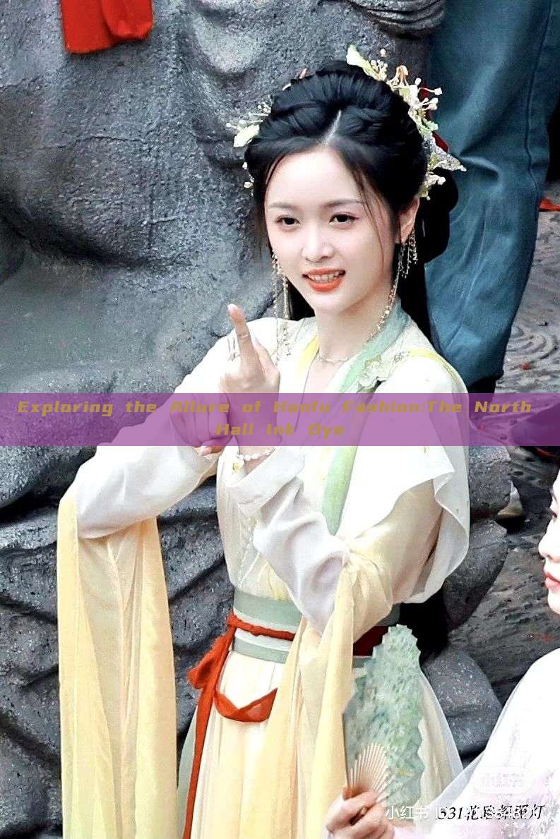 Exploring the Allure of Hanfu Fashion:The North Hall Ink Dye Exploring the Allure of Hanfu Fashion:The North Hall Ink Dye