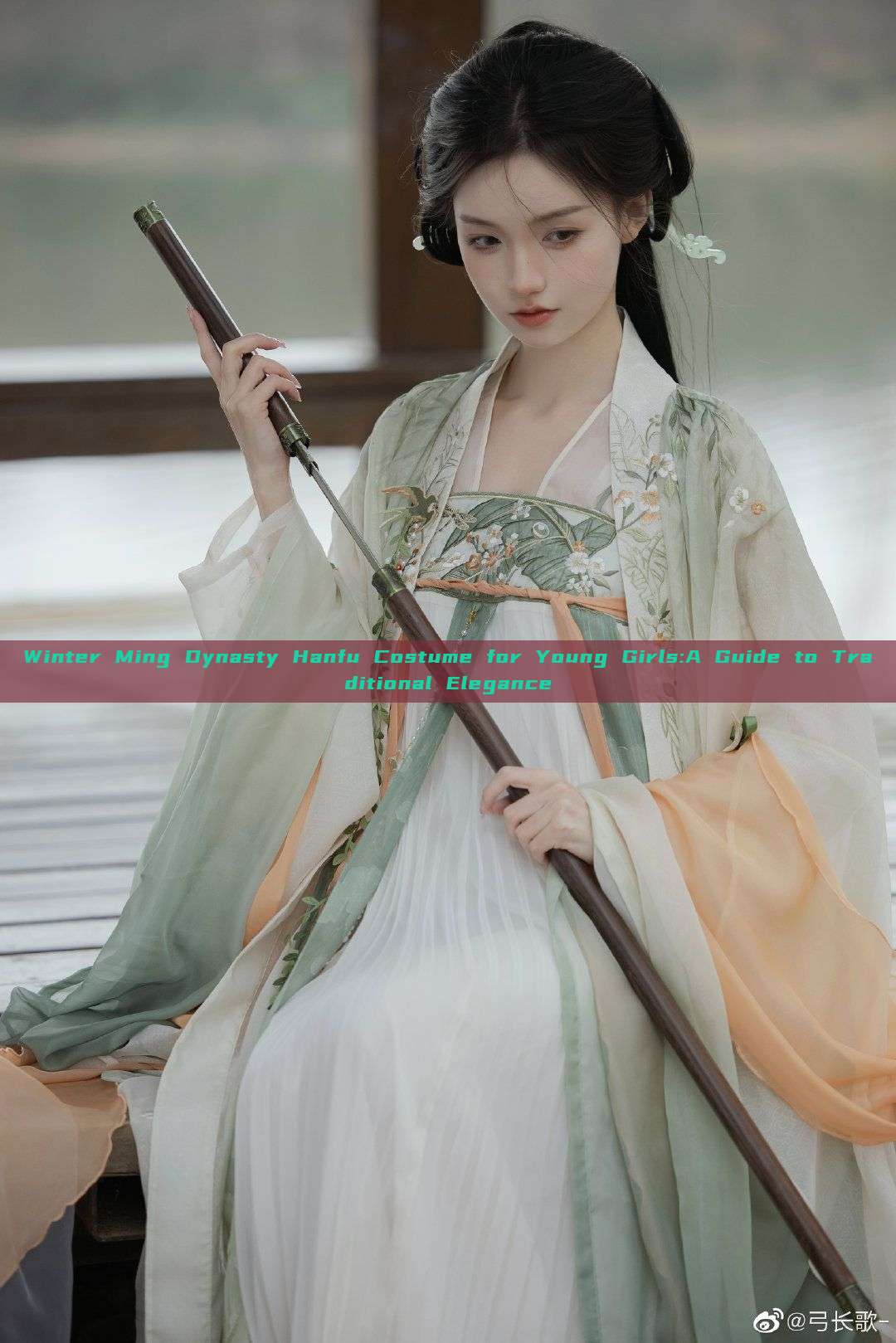 Winter Ming Dynasty Hanfu Costume for Young Girls:A Guide to Traditional Elegance Winter Ming Dynasty Hanfu Costume for Young Girls:A Guide to Traditional Elegance