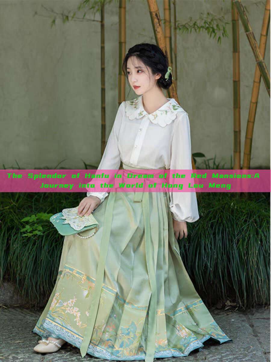 The Splendor of Hanfu in Dream of the Red Mansions:A Journey into the World of Hong Lou Meng The Splendor of Hanfu in Dream of the Red Mansions:A Journey into the World of Hong Lou Meng