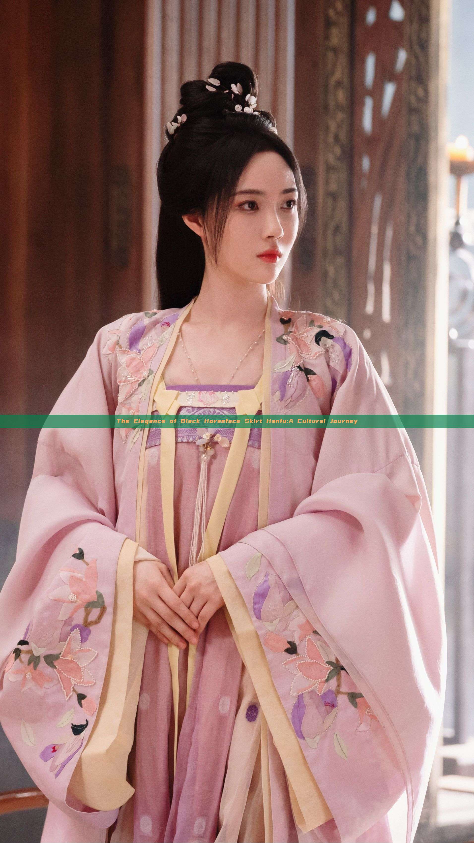 The Elegance of Black Horseface Skirt Hanfu:A Cultural Journey The Elegance of Black Horseface Skirt Hanfu:A Cultural Journey