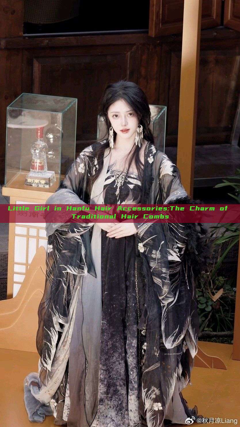 Little Girl in Hanfu Hair Accessories:The Charm of Traditional Hair Combs Little Girl in Hanfu Hair Accessories:The Charm of Traditional Hair Combs