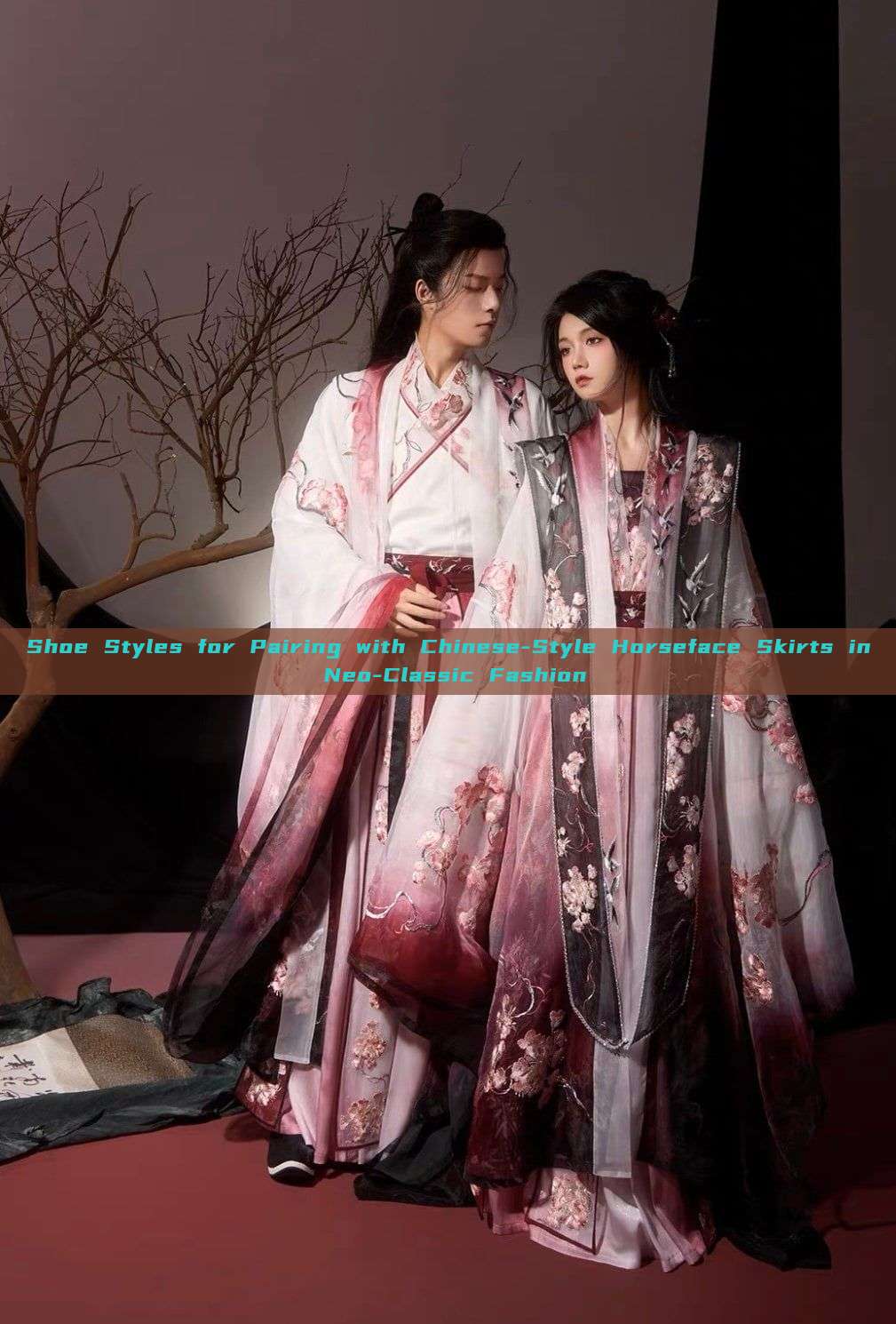 Shoe Styles for Pairing with Chinese-Style Horseface Skirts in Neo-Classic Fashion