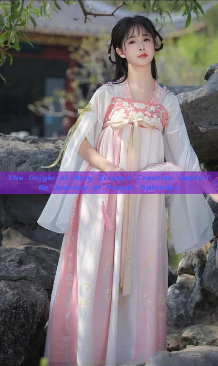 The Origin of Ning Zixuans Creative Hanfu:The Journey of Purple Splendor The Origin of Ning Zixuans Creative Hanfu:The Journey of Purple Splendor