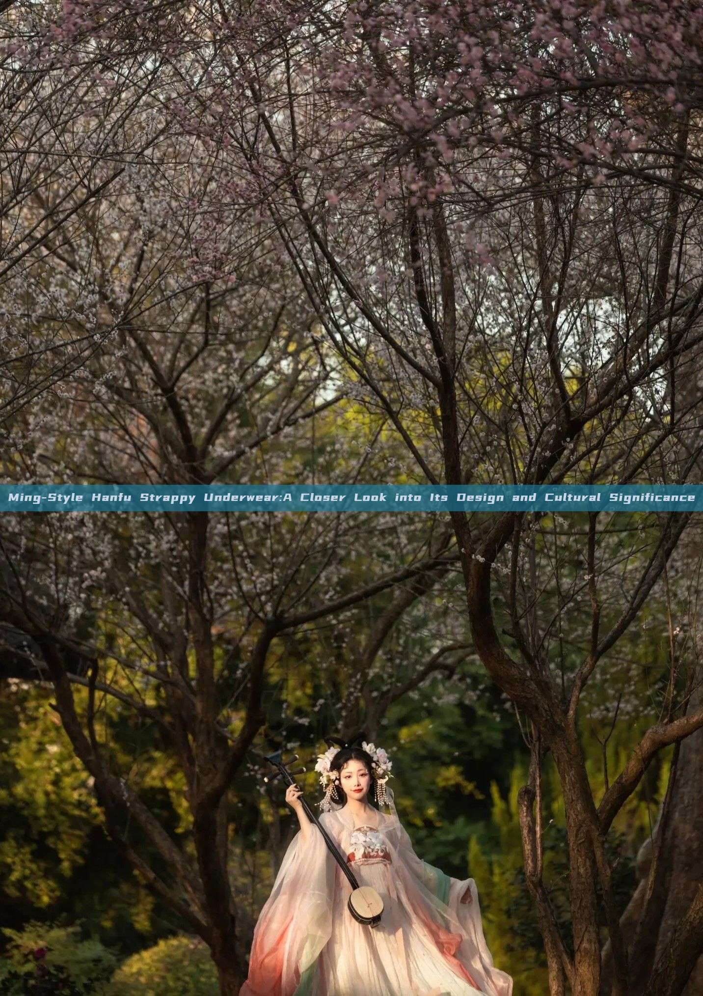Ming-Style Hanfu Strappy Underwear:A Closer Look into Its Design and Cultural Significance Ming-Style Hanfu Strappy Underwear:A Closer Look into Its Design and Cultural Significance