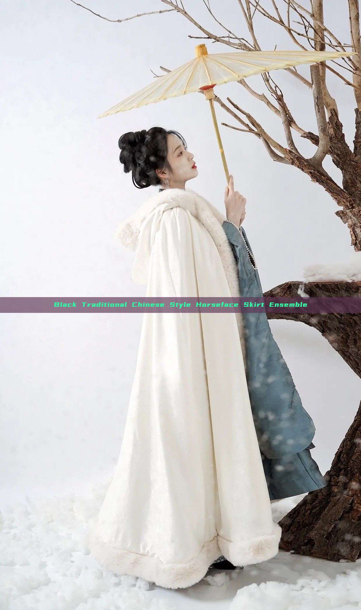 Black Traditional Chinese Style Horseface Skirt Ensemble Black Traditional Chinese Style Horseface Skirt Ensemble