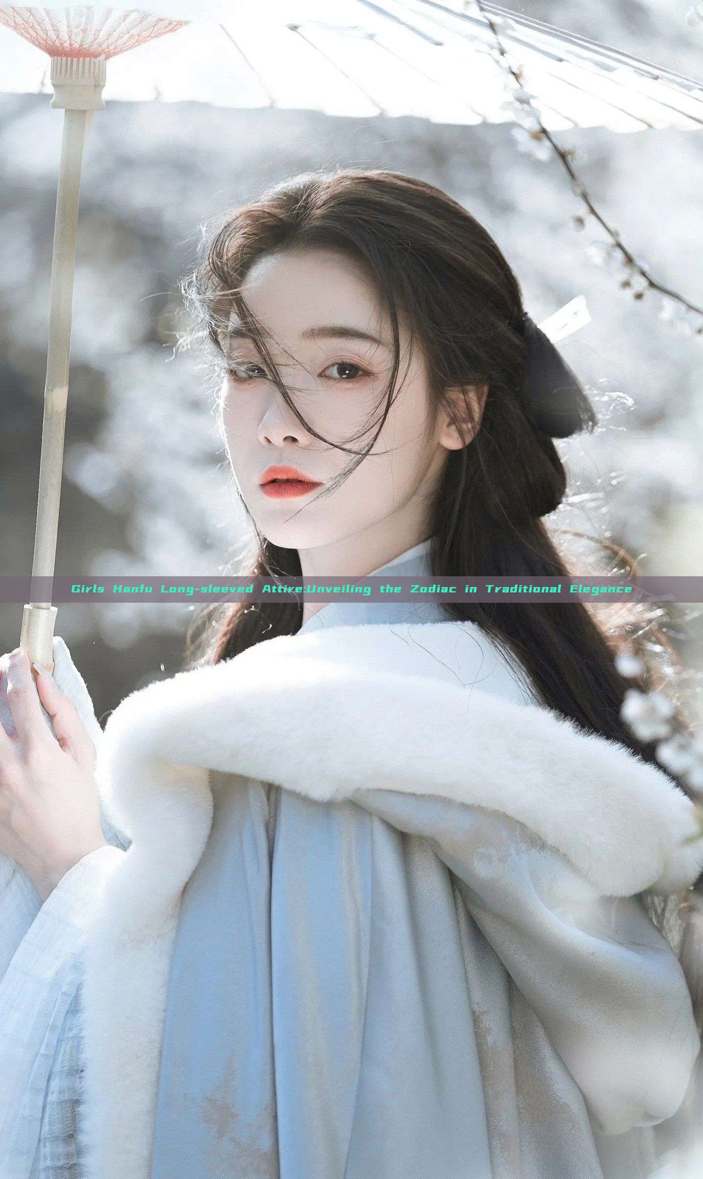 Girls Hanfu Long-sleeved Attire:Unveiling the Zodiac in Traditional Elegance
