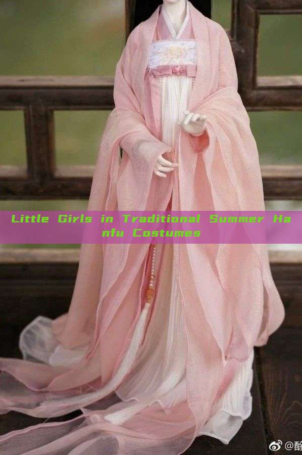 Little Girls in Traditional Summer Hanfu Costumes Little Girls in Traditional Summer Hanfu Costumes