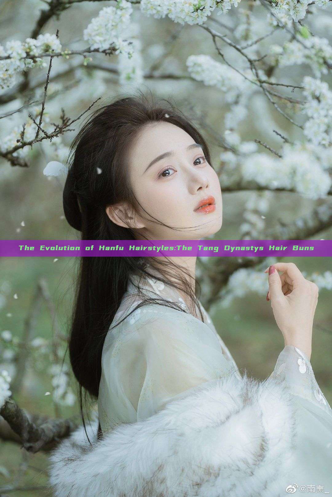 The Evolution of Hanfu Hairstyles:The Tang Dynastys Hair Buns The Evolution of Hanfu Hairstyles:The Tang Dynastys Hair Buns