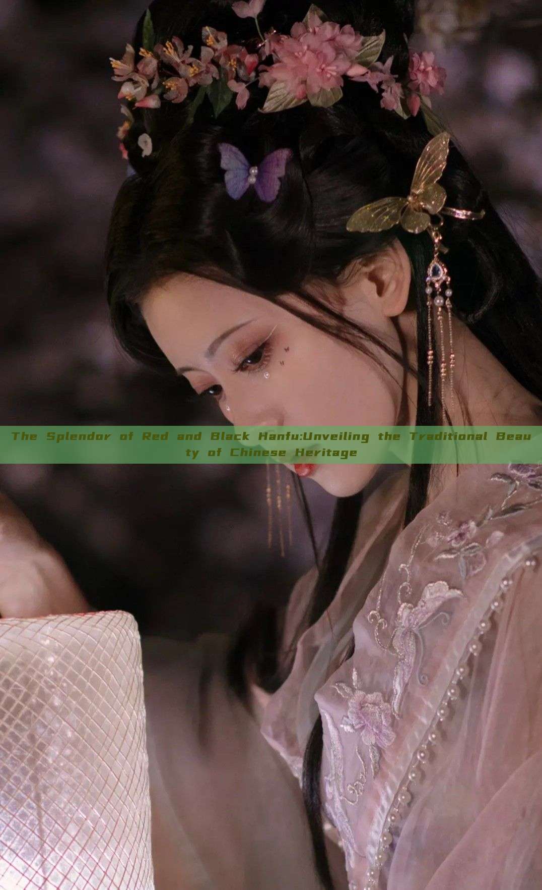The Splendor of Red and Black Hanfu:Unveiling the Traditional Beauty of Chinese Heritage The Splendor of Red and Black Hanfu:Unveiling the Traditional Beauty of Chinese Heritage
