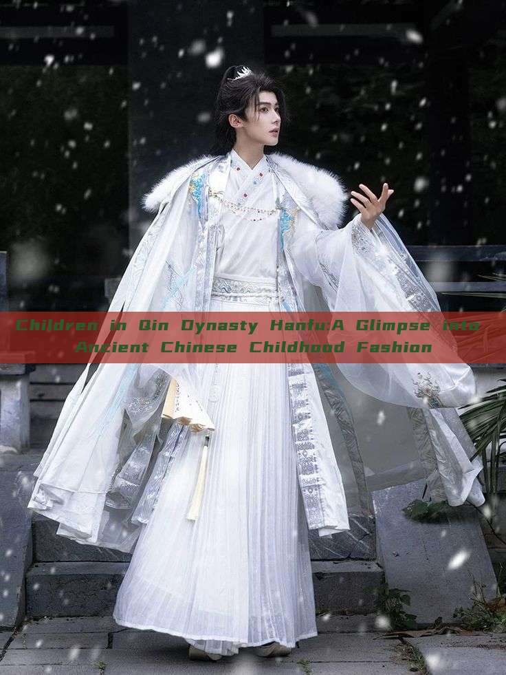 Children in Qin Dynasty Hanfu:A Glimpse into Ancient Chinese Childhood Fashion Children in Qin Dynasty Hanfu:A Glimpse into Ancient Chinese Childhood Fashion