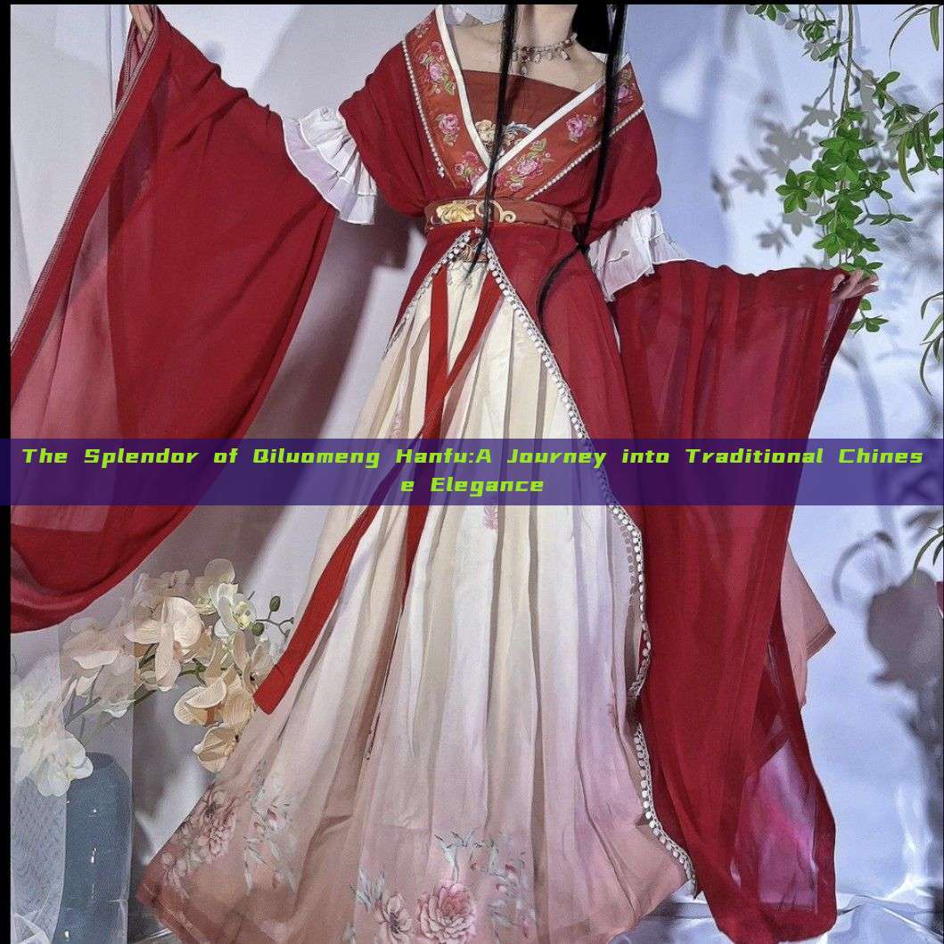 The Splendor of Qiluomeng Hanfu:A Journey into Traditional Chinese Elegance