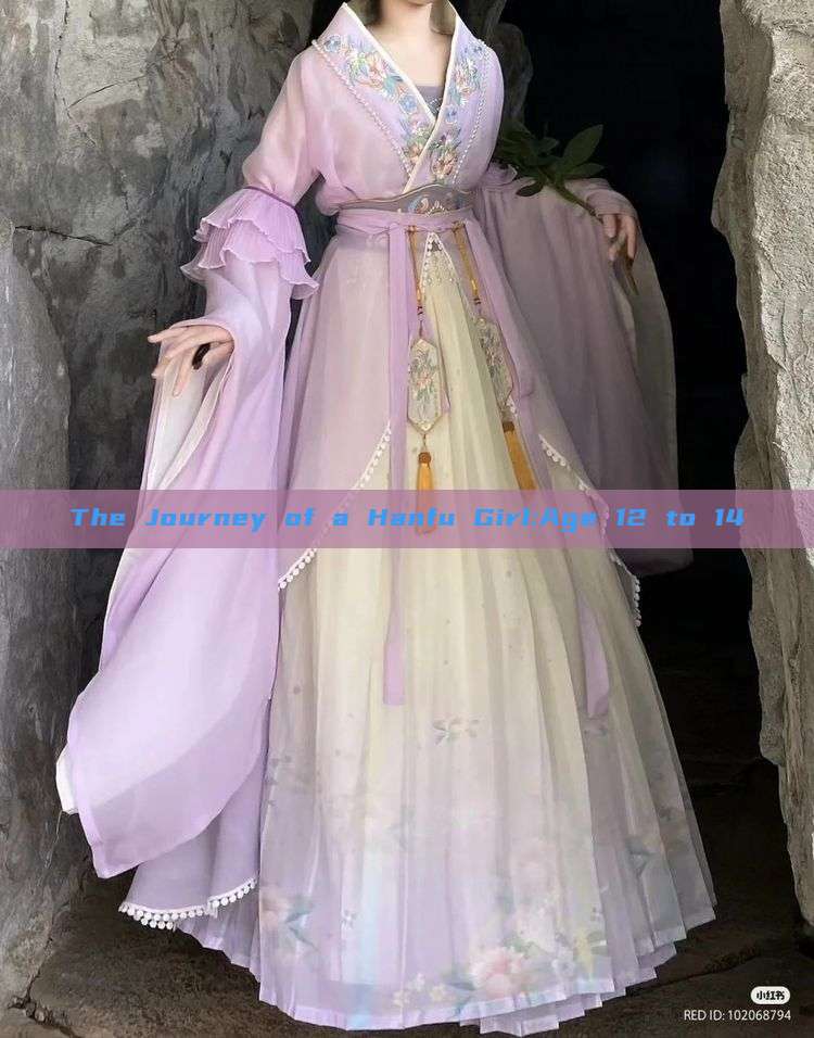 The Journey of a Hanfu Girl:Age 12 to 14