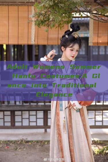 Adult Womens Summer Hanfu Costumes:A Glance into Traditional Elegance Adult Womens Summer Hanfu Costumes:A Glance into Traditional Elegance