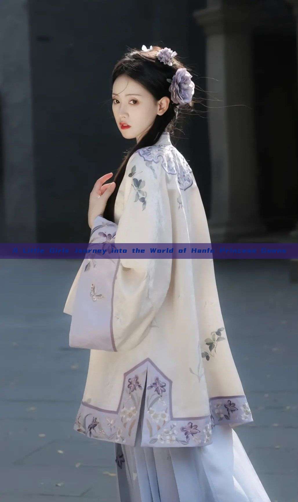 A Little Girls Journey into the World of Hanfu Princess Gowns A Little Girls Journey into the World of Hanfu Princess Gowns