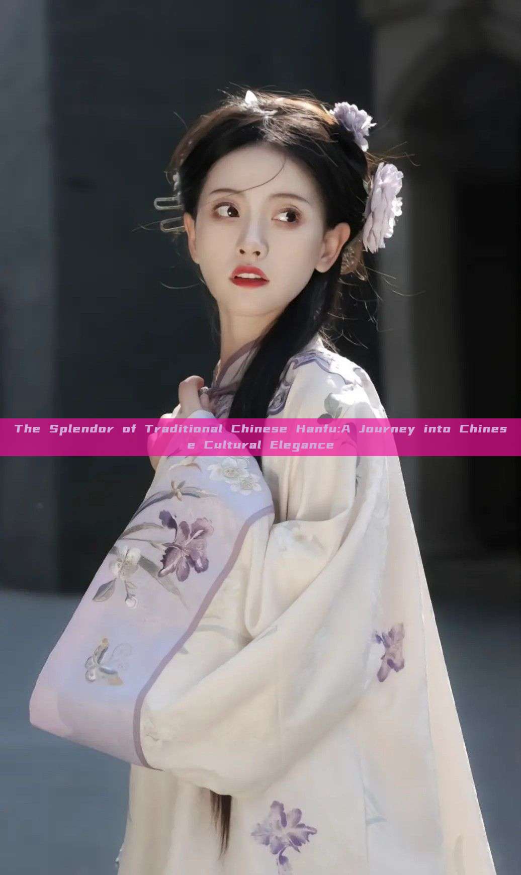 The Splendor of Traditional Chinese Hanfu:A Journey into Chinese Cultural Elegance The Splendor of Traditional Chinese Hanfu:A Journey into Chinese Cultural Elegance