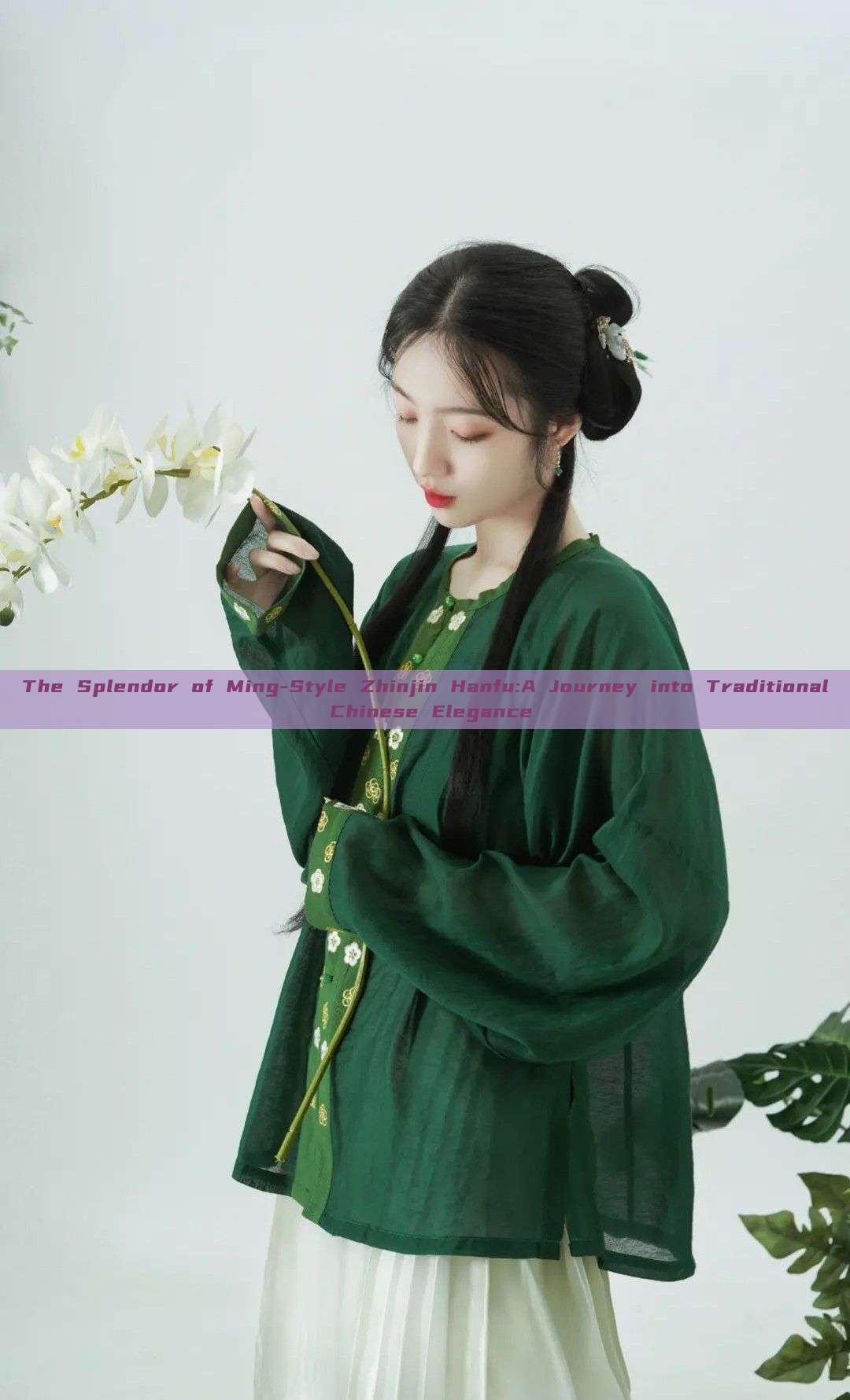The Splendor of Ming-Style Zhinjin Hanfu:A Journey into Traditional Chinese Elegance The Splendor of Ming-Style Zhinjin Hanfu:A Journey into Traditional Chinese Elegance