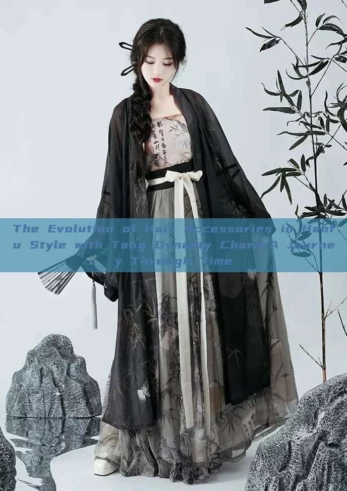 The Evolution of Hair Accessories in Hanfu Style with Tang Dynasty Charm:A Journey Through Time The Evolution of Hair Accessories in Hanfu Style with Tang Dynasty Charm:A Journey Through Time