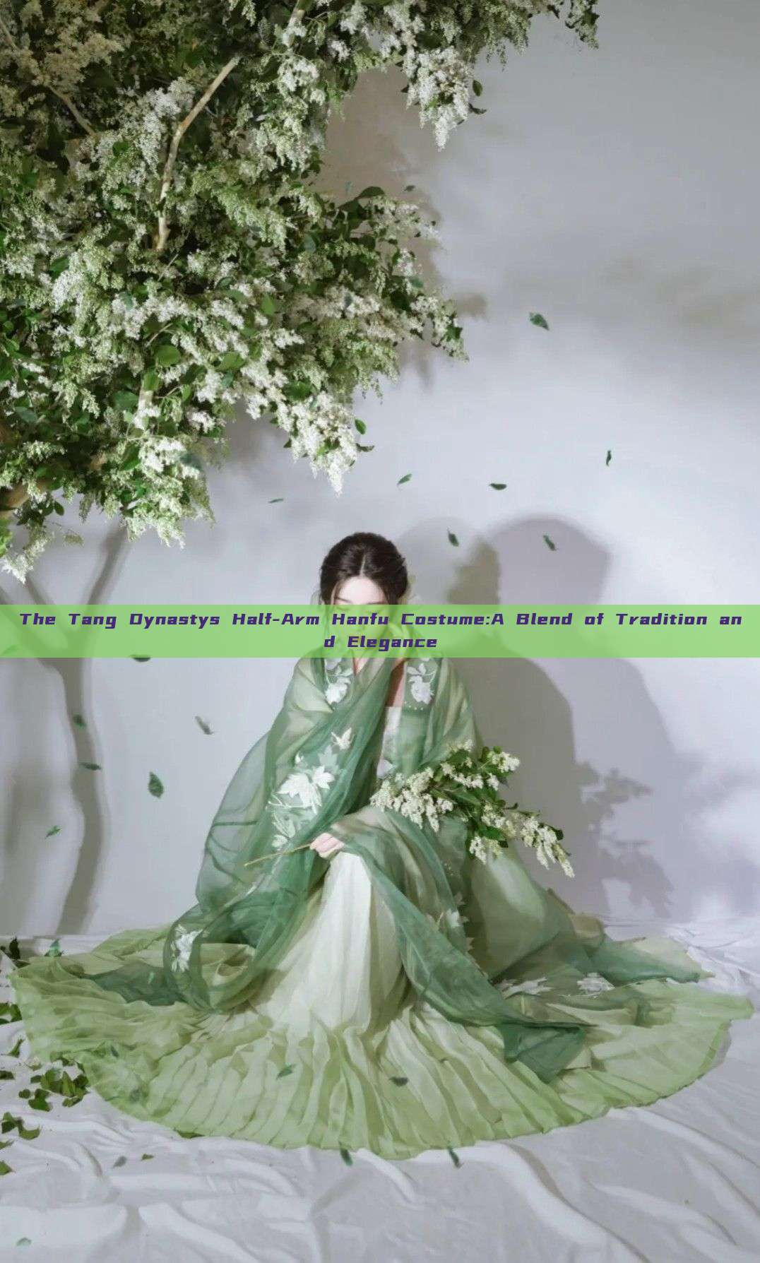 The Tang Dynastys Half-Arm Hanfu Costume:A Blend of Tradition and Elegance The Tang Dynastys Half-Arm Hanfu Costume:A Blend of Tradition and Elegance