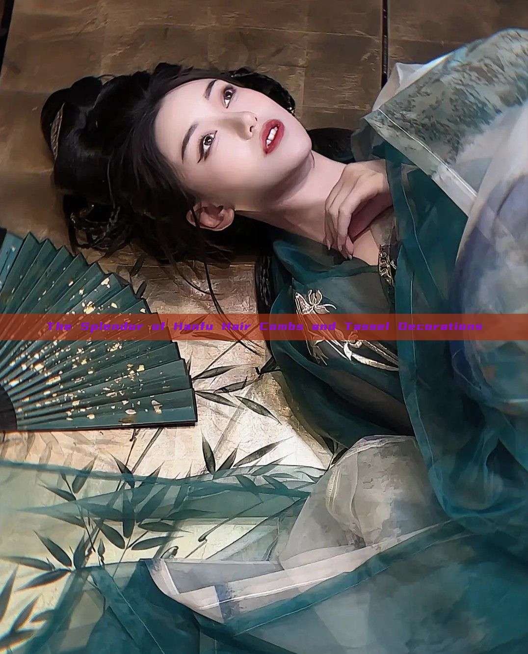 The Splendor of Hanfu Hair Combs and Tassel Decorations The Splendor of Hanfu Hair Combs and Tassel Decorations