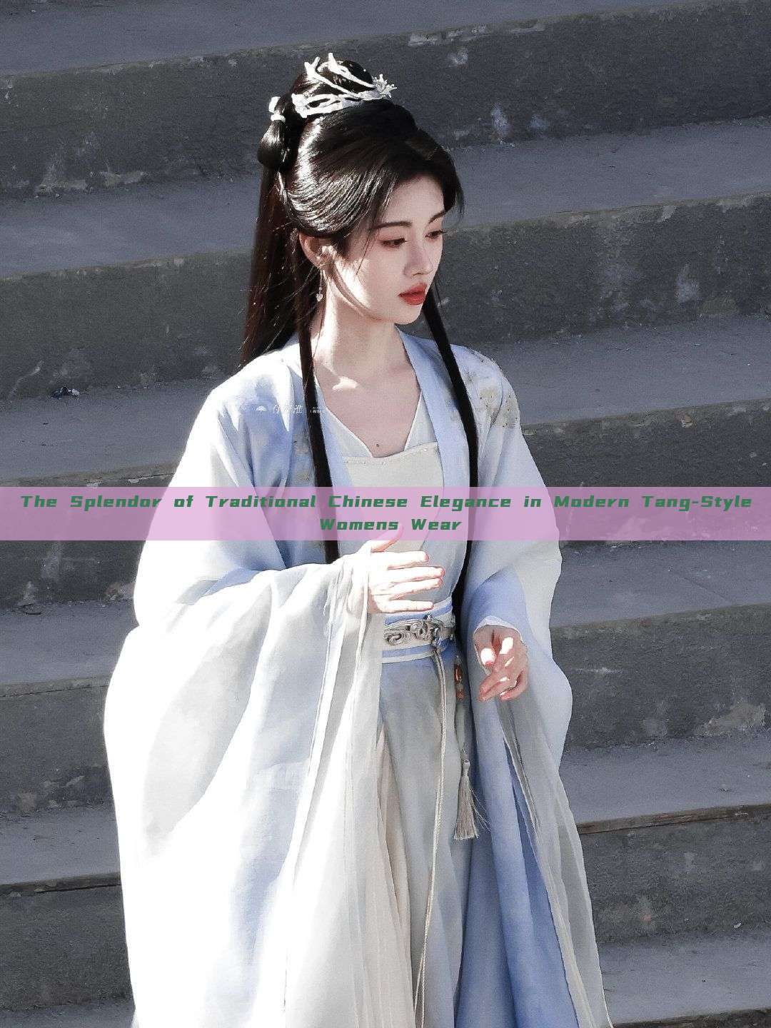 The Splendor of Traditional Chinese Elegance in Modern Tang-Style Womens Wear