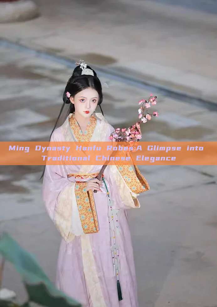 Ming Dynasty Hanfu Robes:A Glimpse into Traditional Chinese Elegance Ming Dynasty Hanfu Robes:A Glimpse into Traditional Chinese Elegance