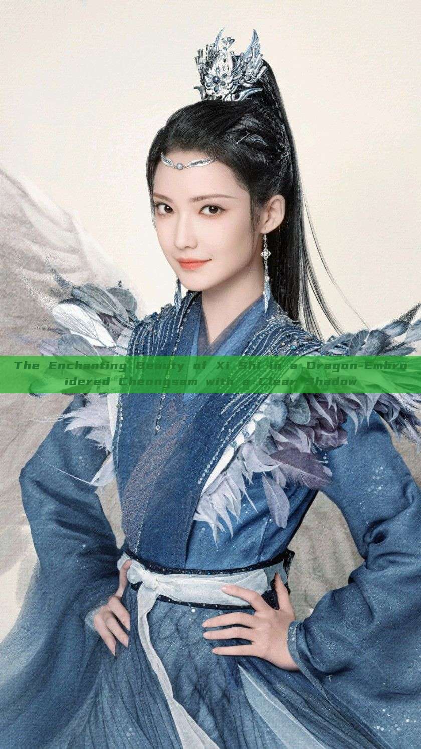 The Enchanting Beauty of Xi Shi in a Dragon-Embroidered Cheongsam with a Clear Shadow