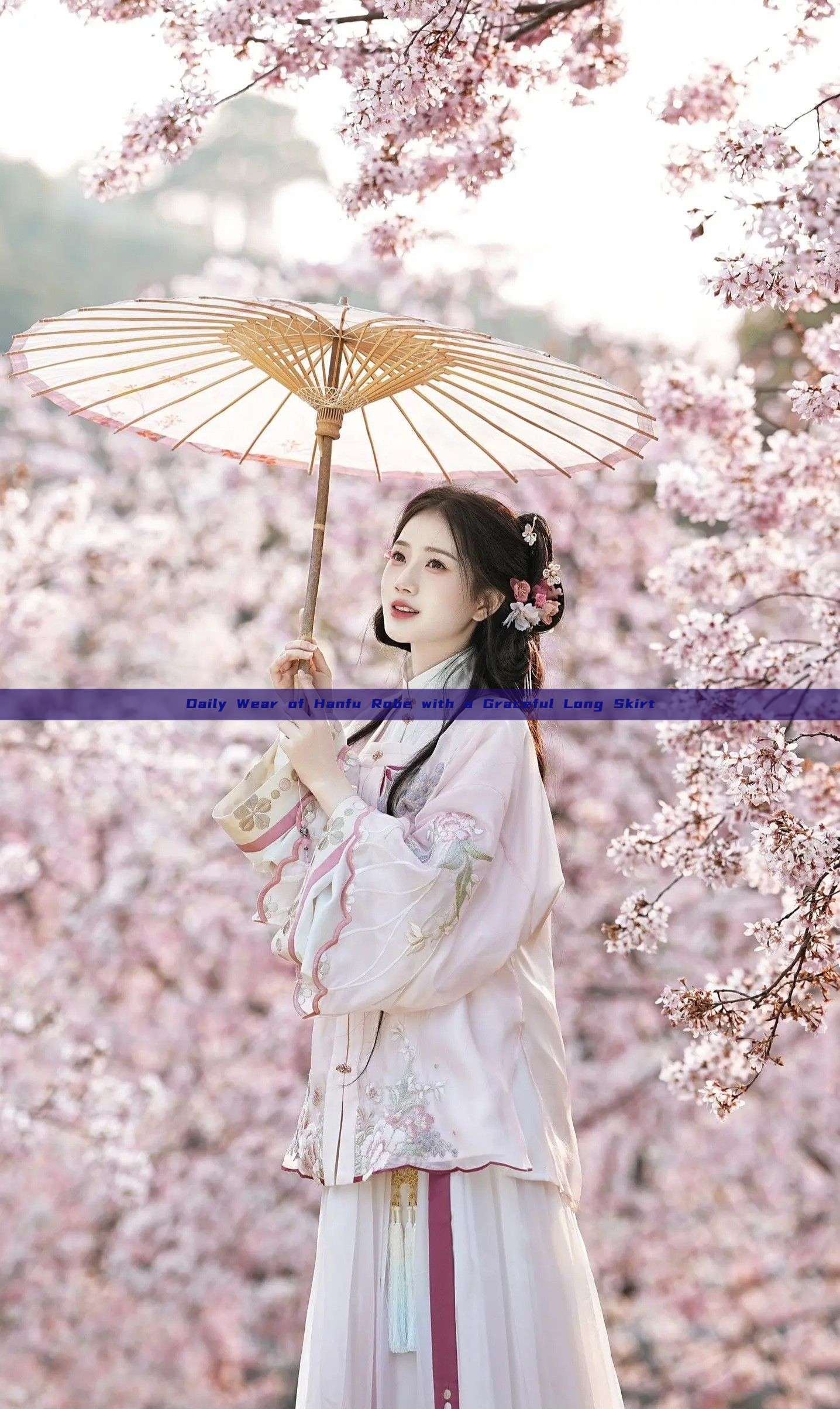 Daily Wear of Hanfu Robe with a Graceful Long Skirt Daily Wear of Hanfu Robe with a Graceful Long Skirt