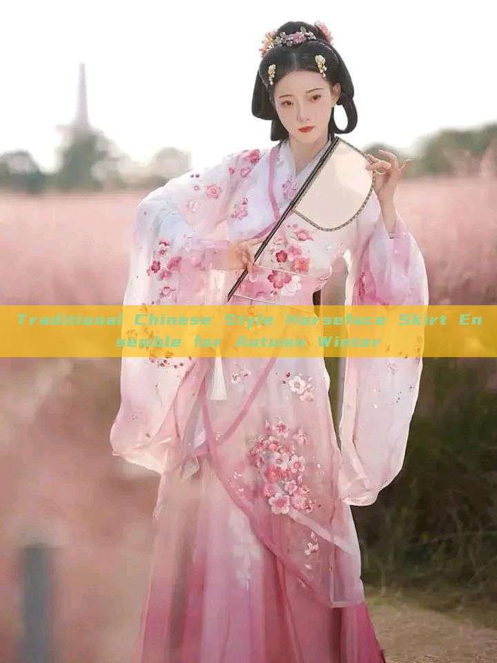 Traditional Chinese Style Horseface Skirt Ensemble for Autumn Winter Traditional Chinese Style Horseface Skirt Ensemble for Autumn Winter