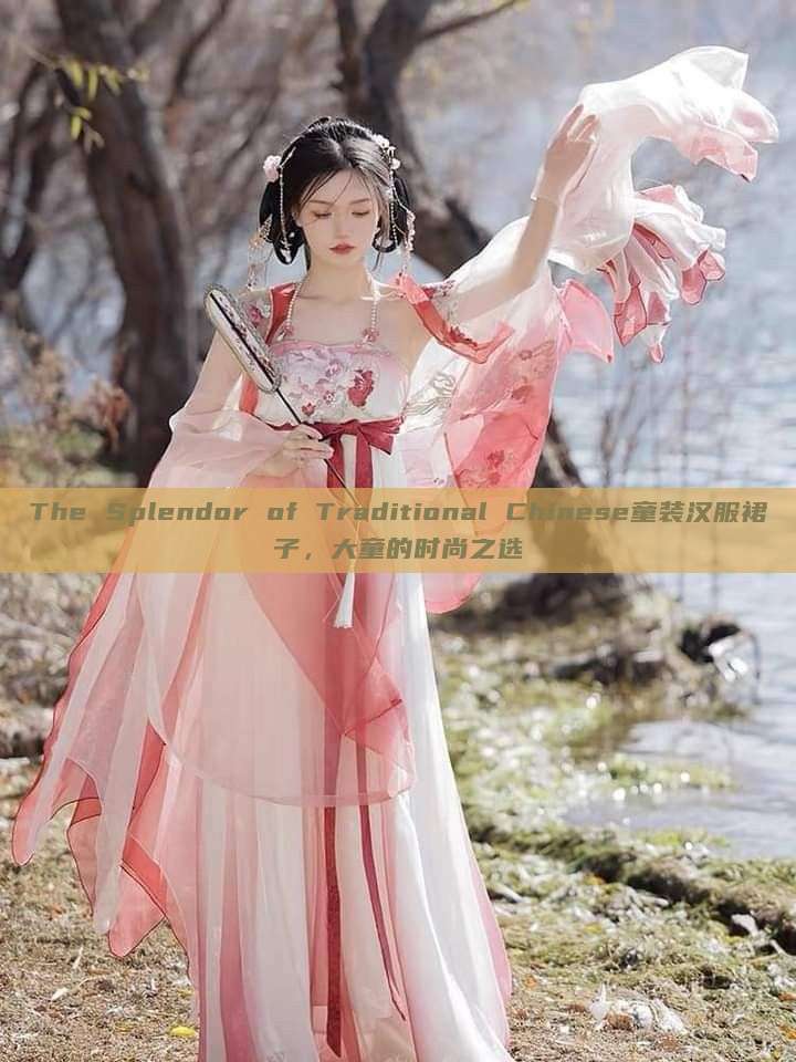 The Splendor of Traditional Chinese童装汉服裙子,大童的时尚之选 The Splendor of Traditional Chinese童装汉服裙子,大童的时尚之选