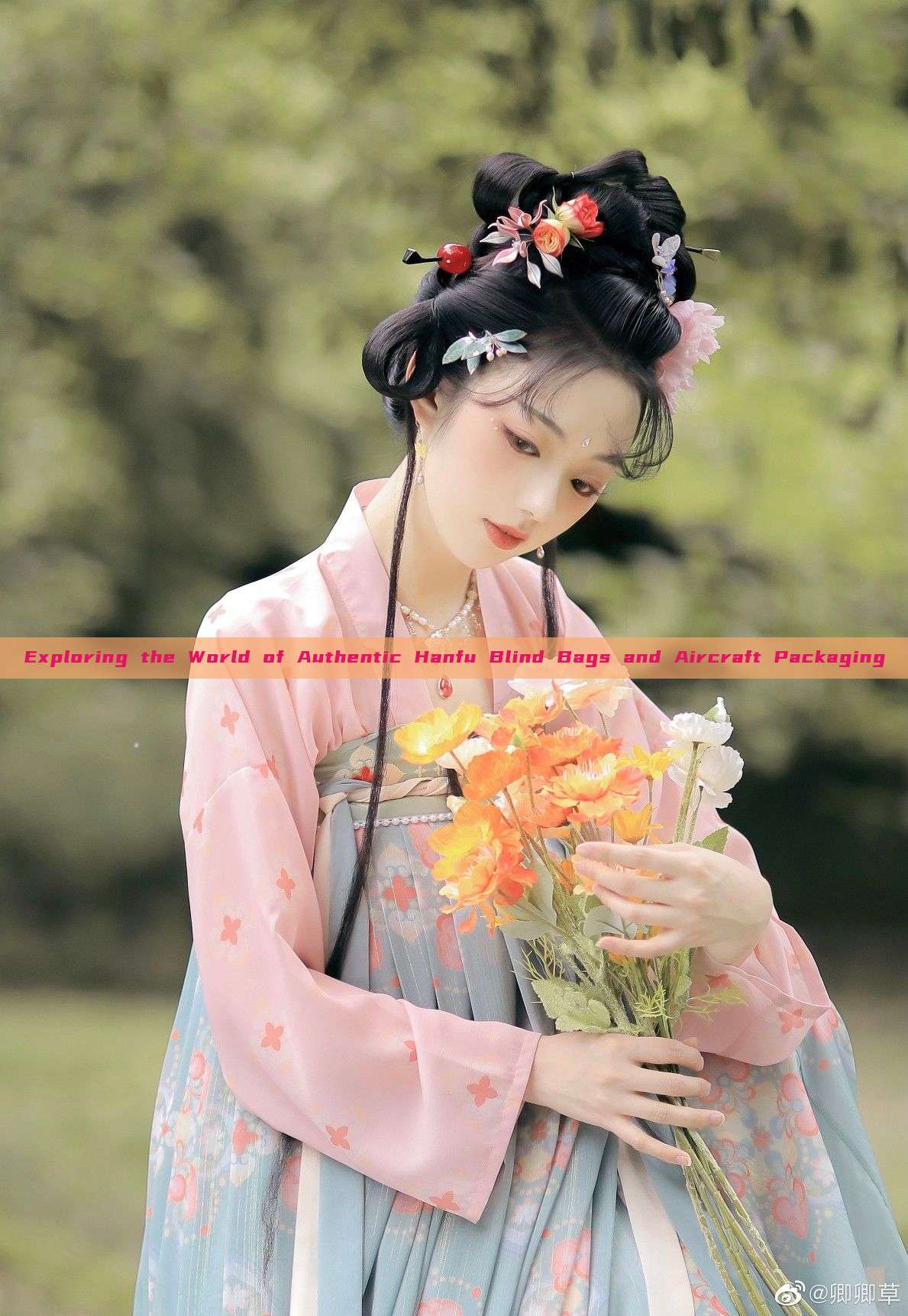 Exploring the World of Authentic Hanfu Blind Bags and Aircraft Packaging Exploring the World of Authentic Hanfu Blind Bags and Aircraft Packaging
