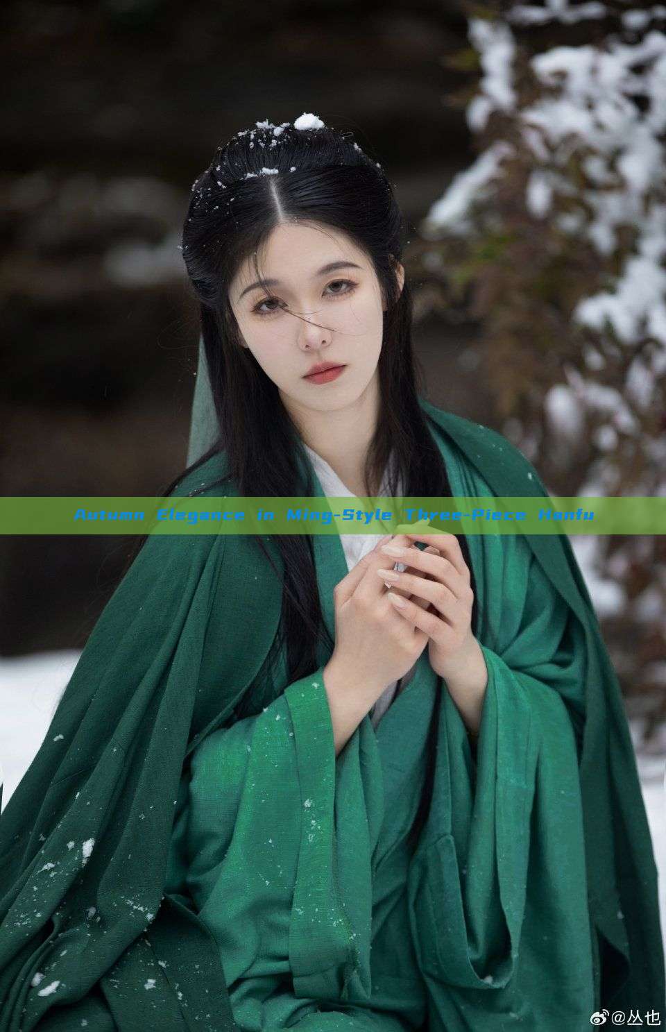 Autumn Elegance in Ming-Style Three-Piece Hanfu Autumn Elegance in Ming-Style Three-Piece Hanfu
