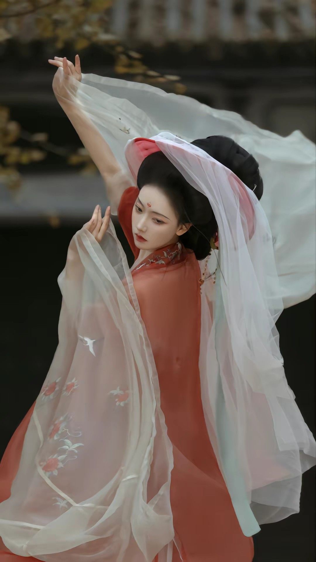 The Ocean of Time:Original Hanfu Fashion and Its Journey Through the Eons of Chinese Heritage The Ocean of Time:Original Hanfu Fashion and Its Journey Through the Eons of Chinese Heritage