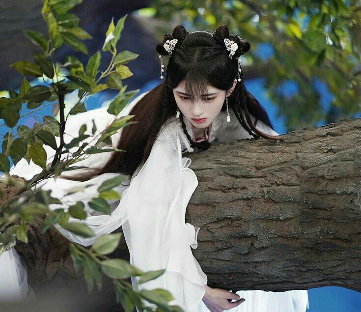 The Splendid Charm of Chinese Traditional Clothing:The Bai Cai Qi Yao Hanfu