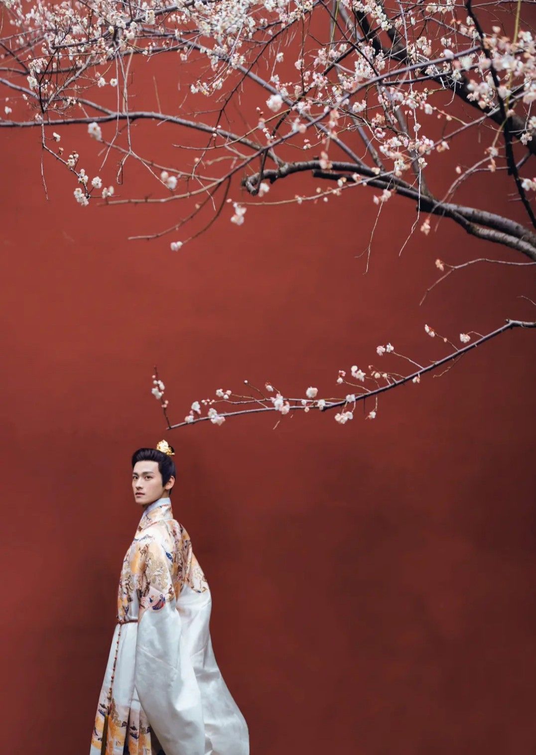 Hanfu Wedding Gowns:A Tale of Traditional Elegance on Screen Hanfu Wedding Gowns:A Tale of Traditional Elegance on Screen