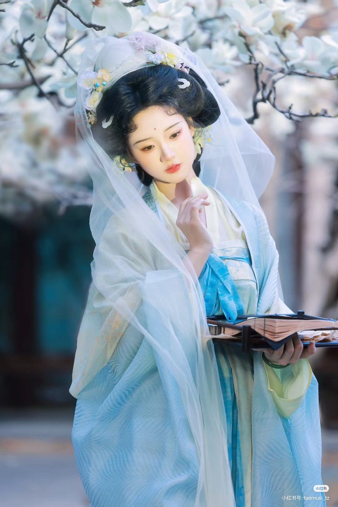 Embracing Elegance:The Black Cheongsam-Style Collar Dress