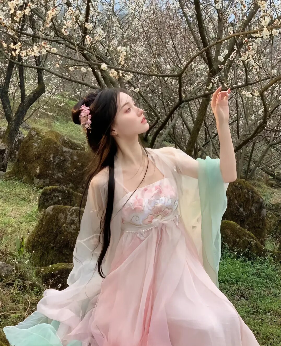 Vintage Hanfu Style:The Elegance of Long-sleeved Hanfu for Women Vintage Hanfu Style:The Elegance of Long-sleeved Hanfu for Women