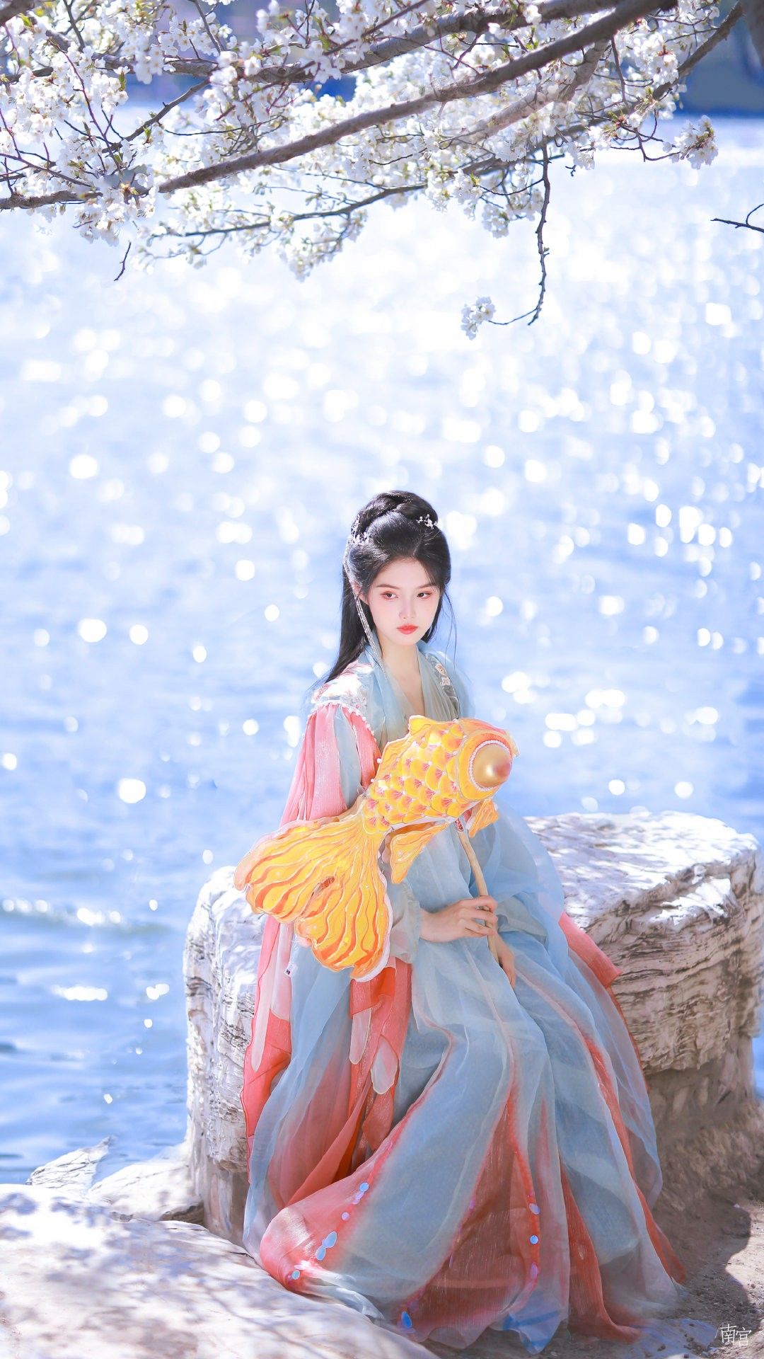 The Cheongsam and Shark Clip:A Blend of Traditional Elegance and Modern Style The Cheongsam and Shark Clip:A Blend of Traditional Elegance and Modern Style