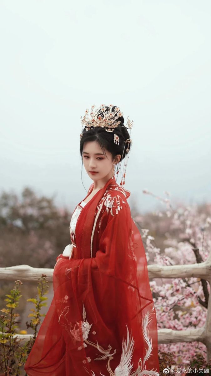 Adult Womens Hanfu Short-sleeved Blouses:A Glance into Traditional Elegance Adult Womens Hanfu Short-sleeved Blouses:A Glance into Traditional Elegance