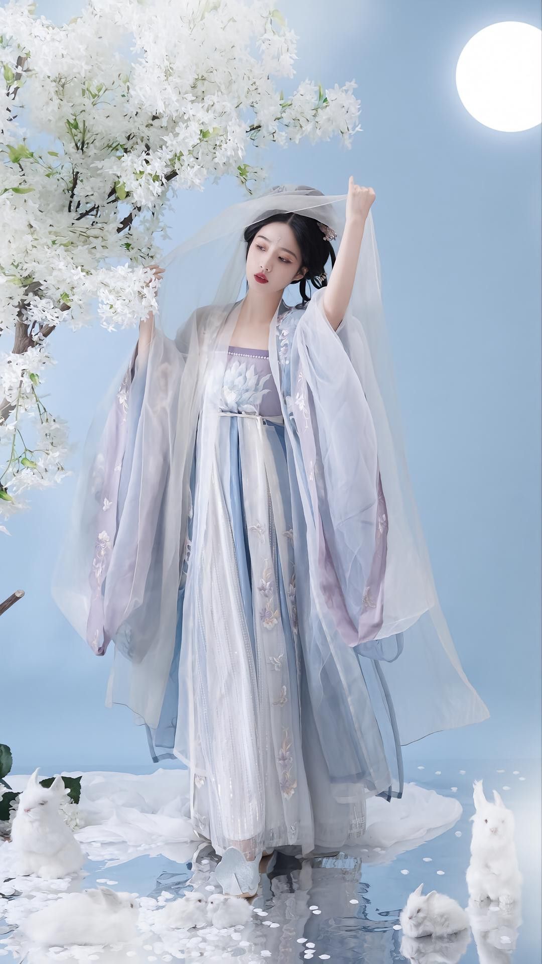 Ancient Hanfu in the Starry Sky:A Journey Through Time and Tradition Ancient Hanfu in the Starry Sky:A Journey Through Time and Tradition